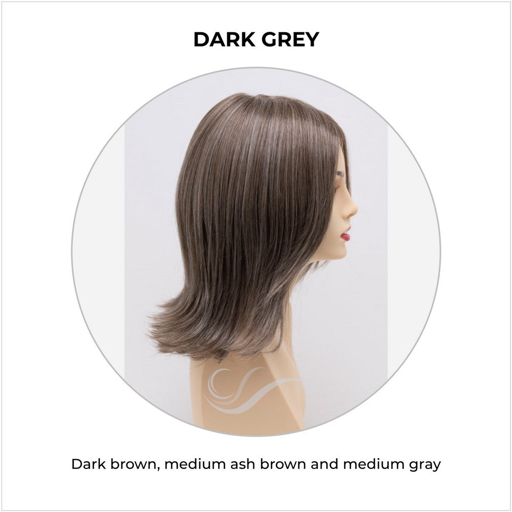 Lisa wig by Envy in Dark Grey-Dark brown, medium ash brown and medium gray