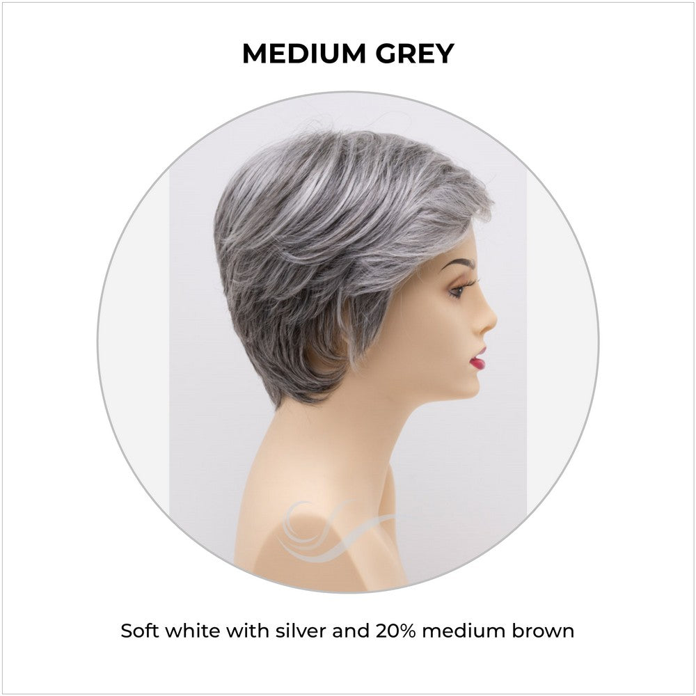 Paula wig by Envy in Medium Grey-Soft white with silver and 20% medium brown