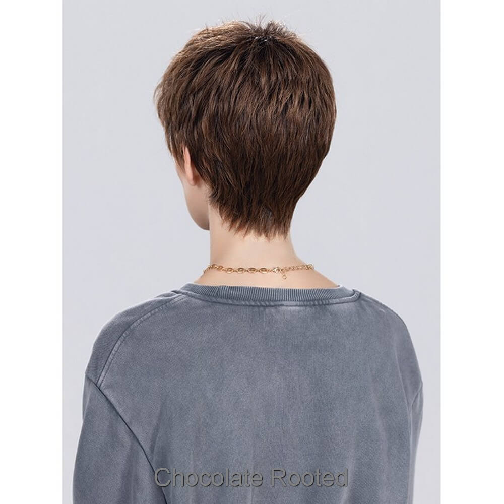 Chat by Ellen Wille (Lace Front Wig)