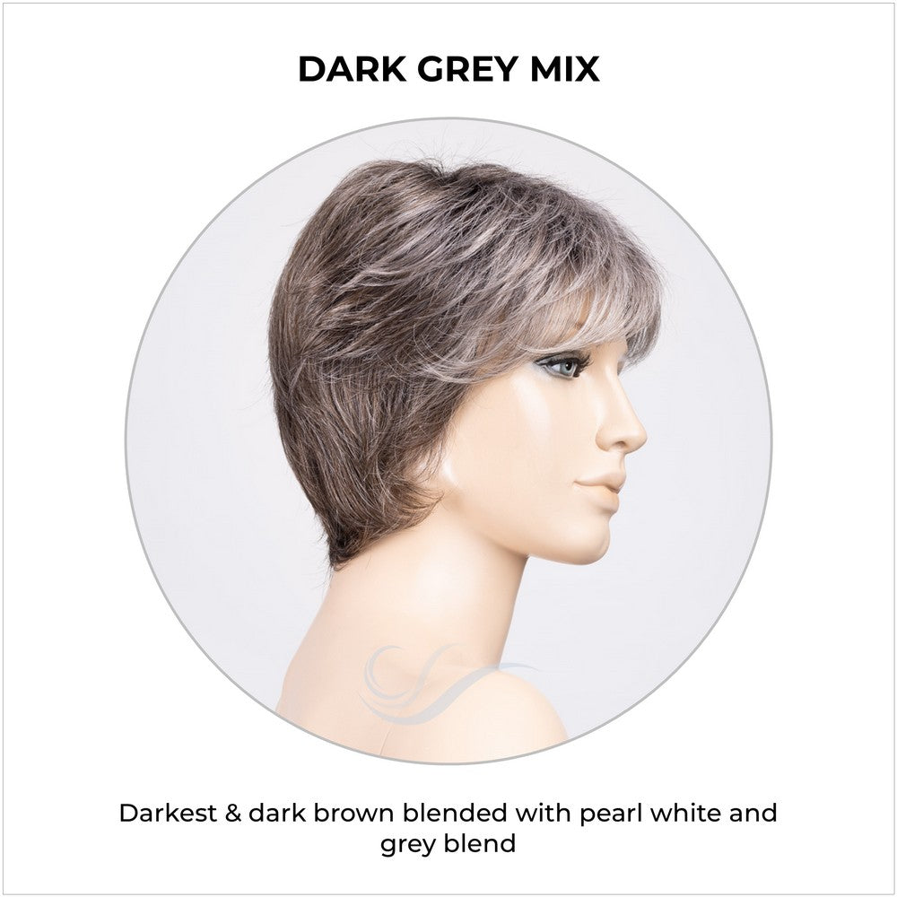 Prima Soft by Ellen Wille in Dark Grey Mix-Darkest & dark brown blended with pearl white and grey blend