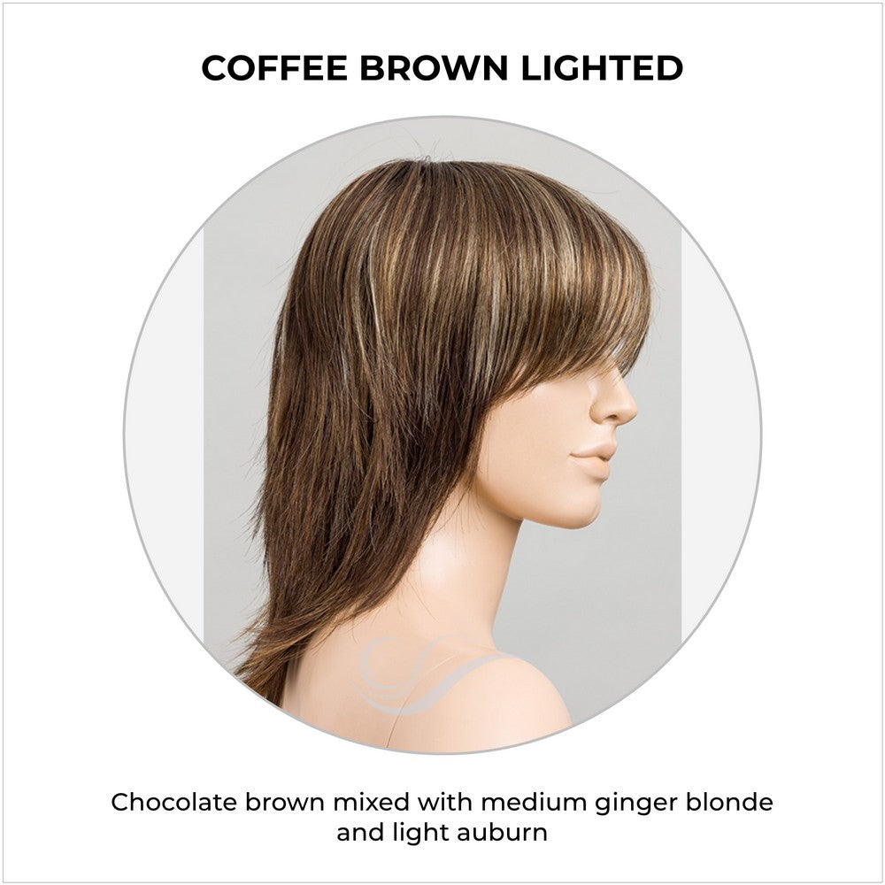 Rainbow by Ellen Wille in Coffee Brown Lighted-Chocolate brown mixed with medium ginger blonde and light auburn