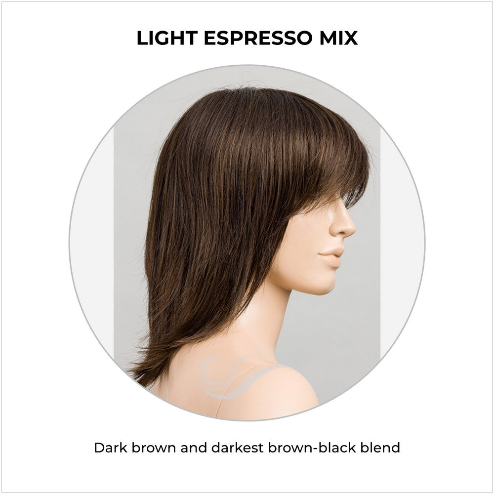 Rainbow by Ellen Wille in Light Espresso Mix-Dark brown and darkest brown-black blend