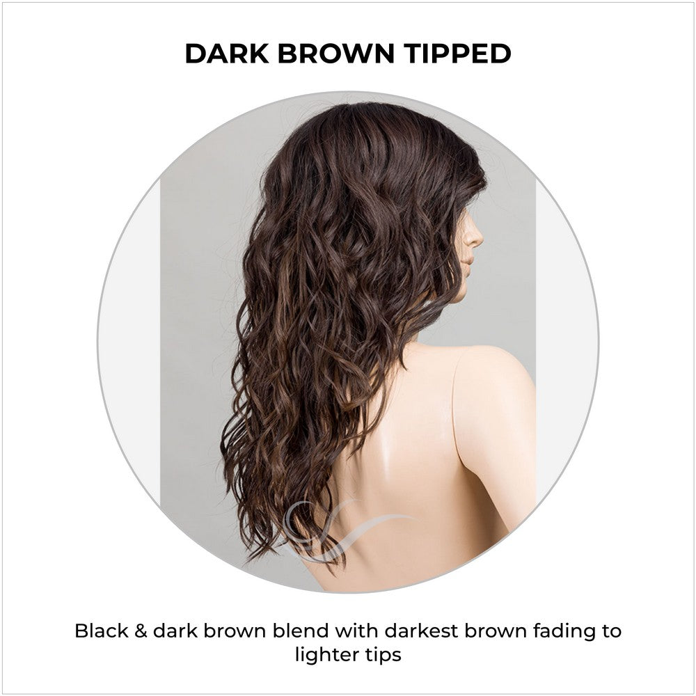 Serena by Ellen Wille in Dark Brown Tipped-Black & dark brown blend with darkest brown fading to lighter tips