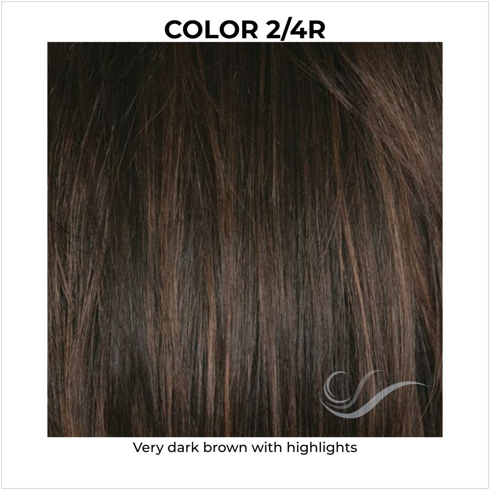 2/4R-Very dark brown with highlights