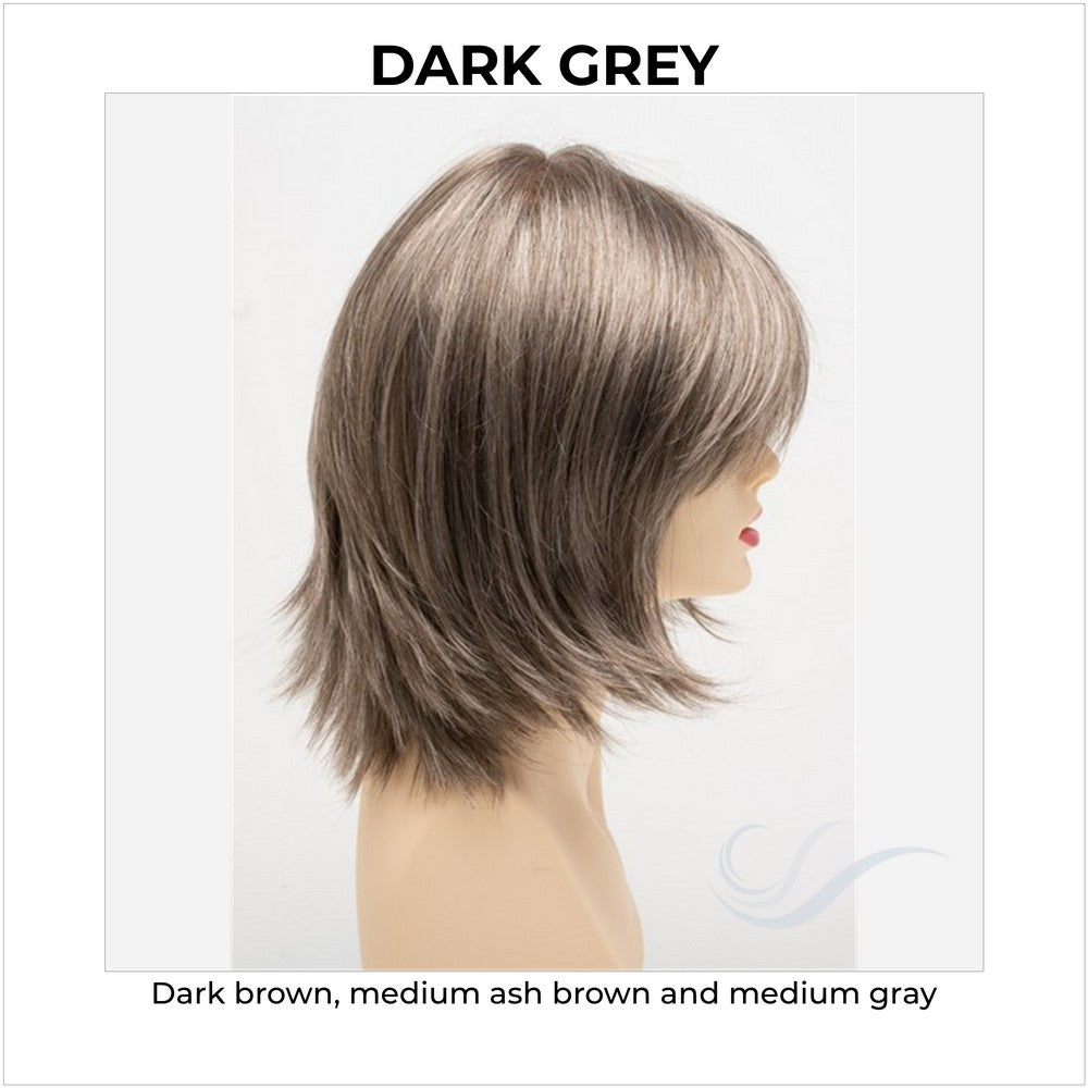 Amber by Envy in Dark Grey-Dark brown, medium ash brown and medium gray