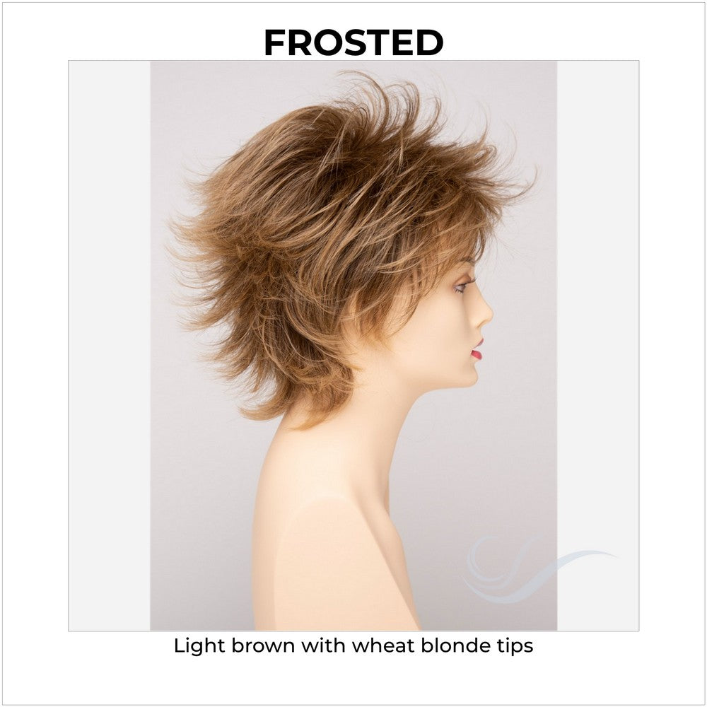 Aria By Envy in Frosted-Light brown with wheat blonde tips