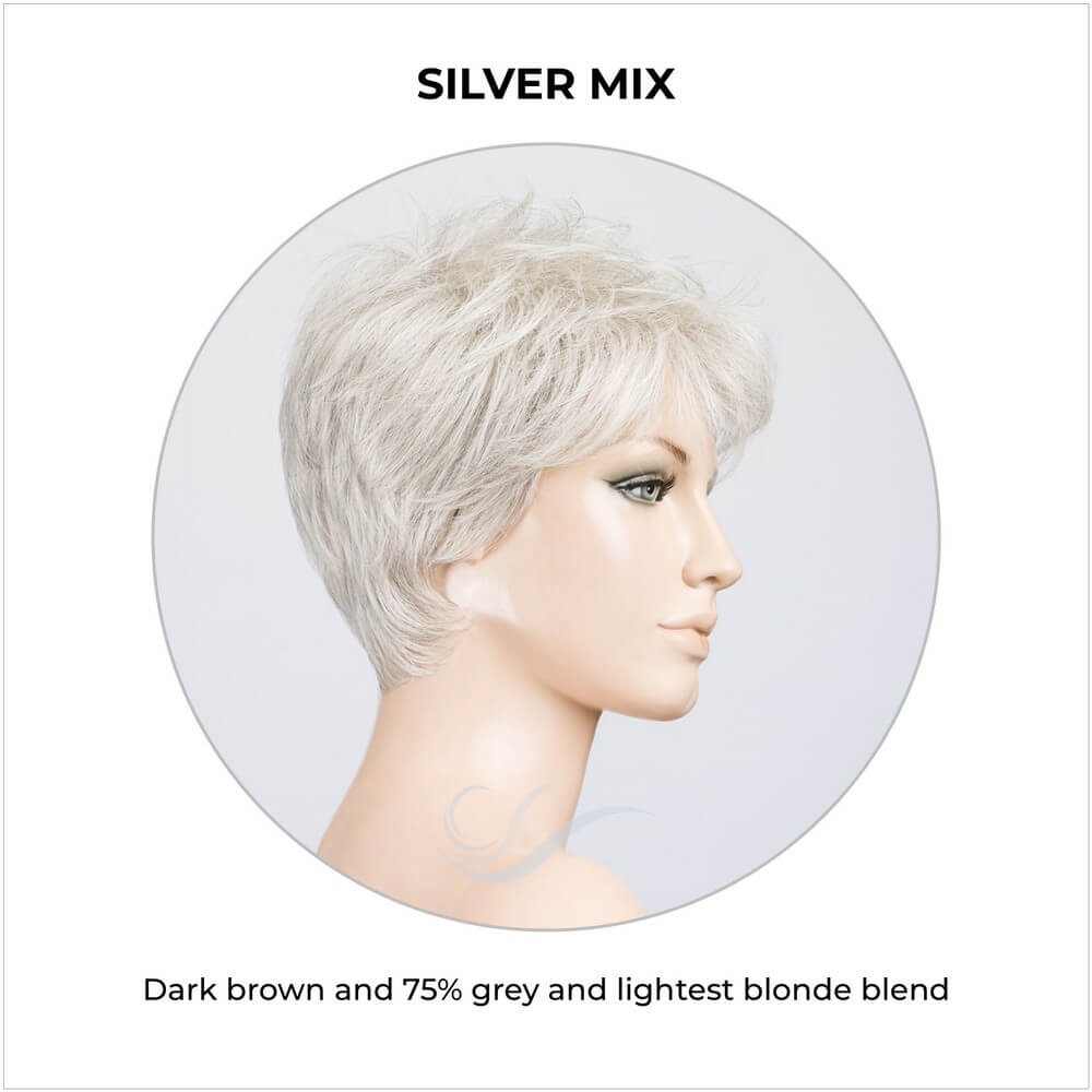 Bliss by Ellen Wille in Silver Mix-Dark brown and 75% grey and lightest blonde blend