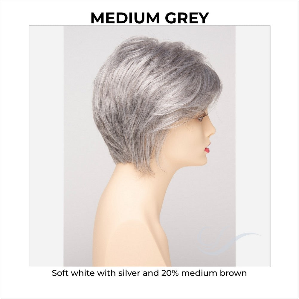 Chantel by Envy in Medium Grey-Soft white with silver and 20% medium brown