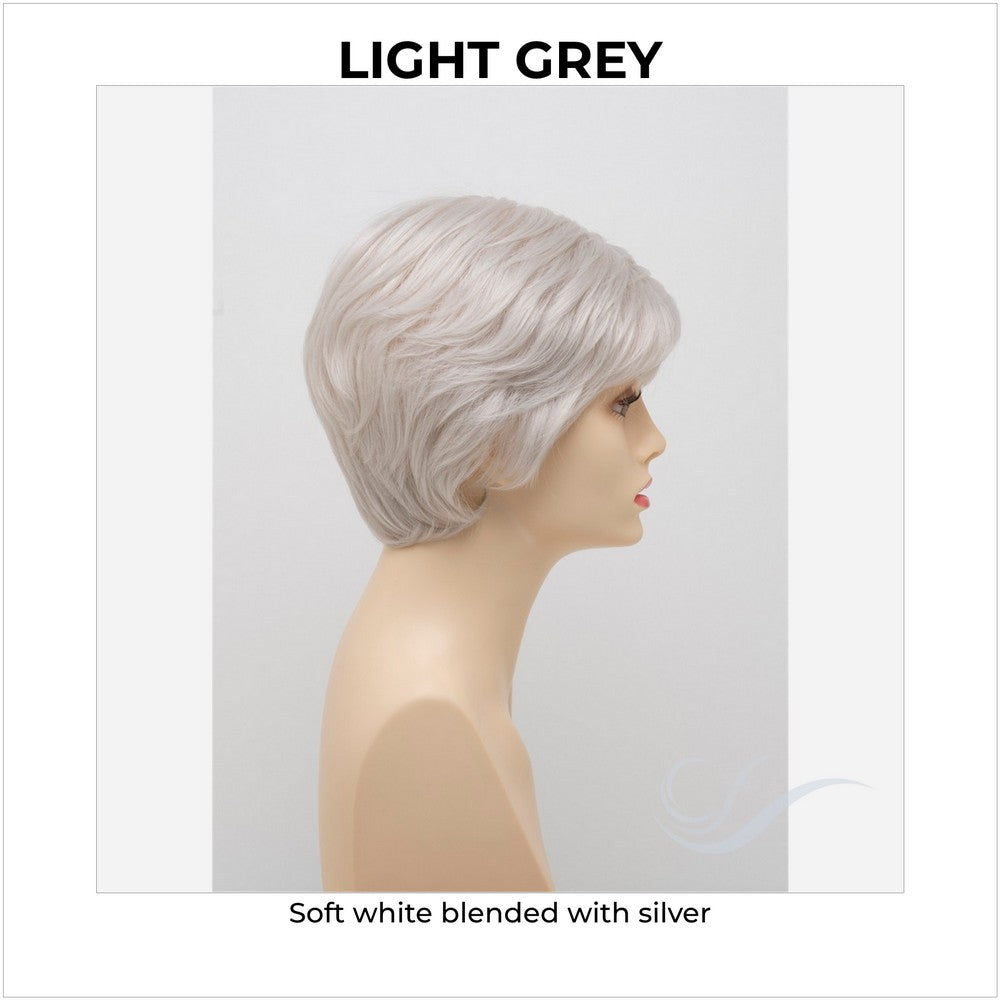 Destiny By Envy in Light Grey-Soft white blended with silver