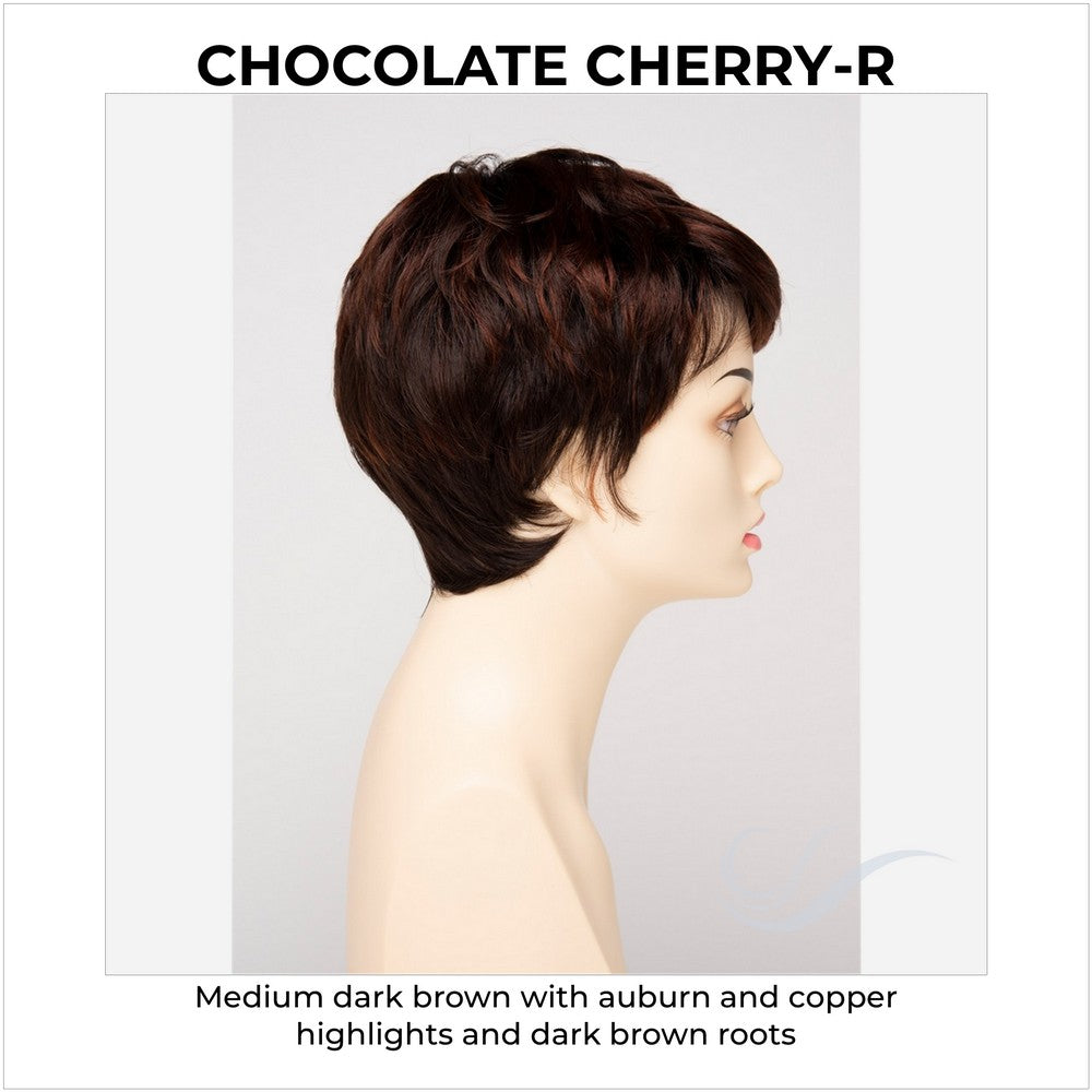 Fiona By Envy in Chocolate Cherry-R-Medium dark brown with auburn and copper highlights and dark brown roots