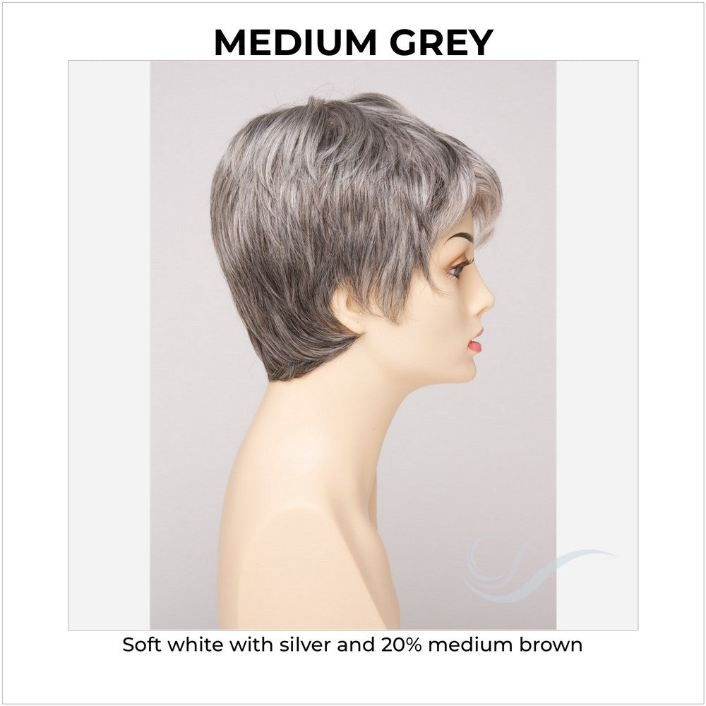 Fiona By Envy in Medium Grey-Soft white with silver and 20% medium brown