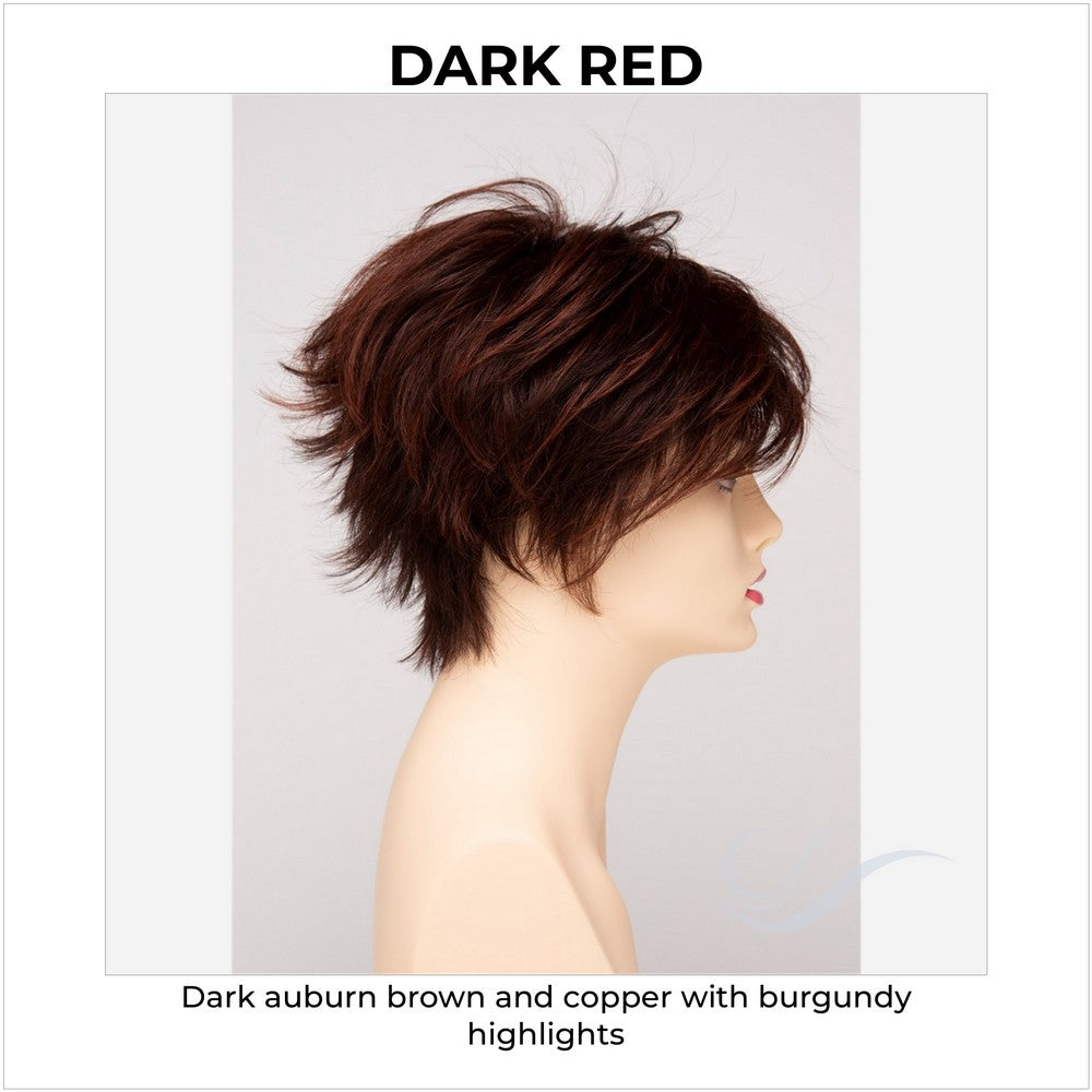 Flame By Envy in Dark Red-Dark auburn brown and copper with burgundy highlights