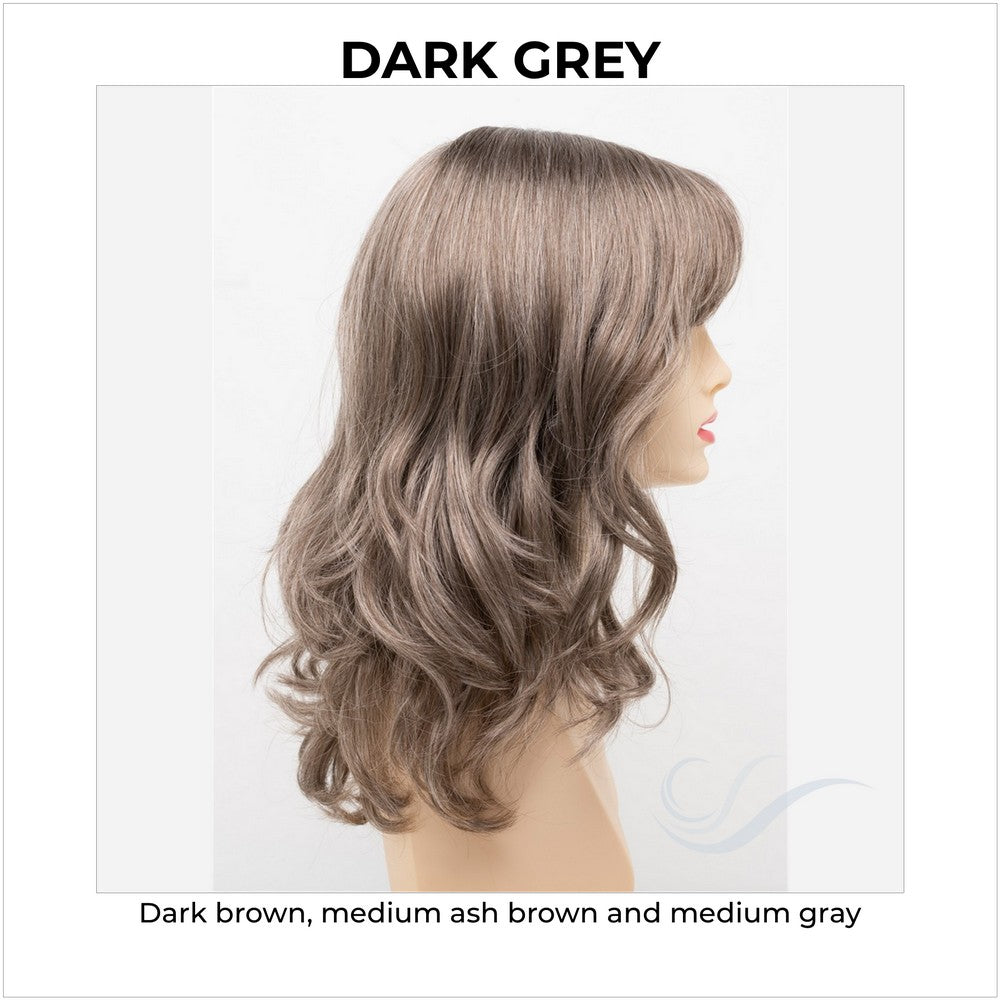 Harmony by Envy in Dark Grey-Dark brown, medium ash brown and medium gray