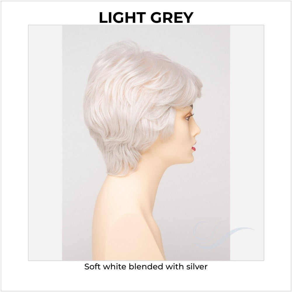 Heather By Envy in Light Grey-Soft white blended with silver