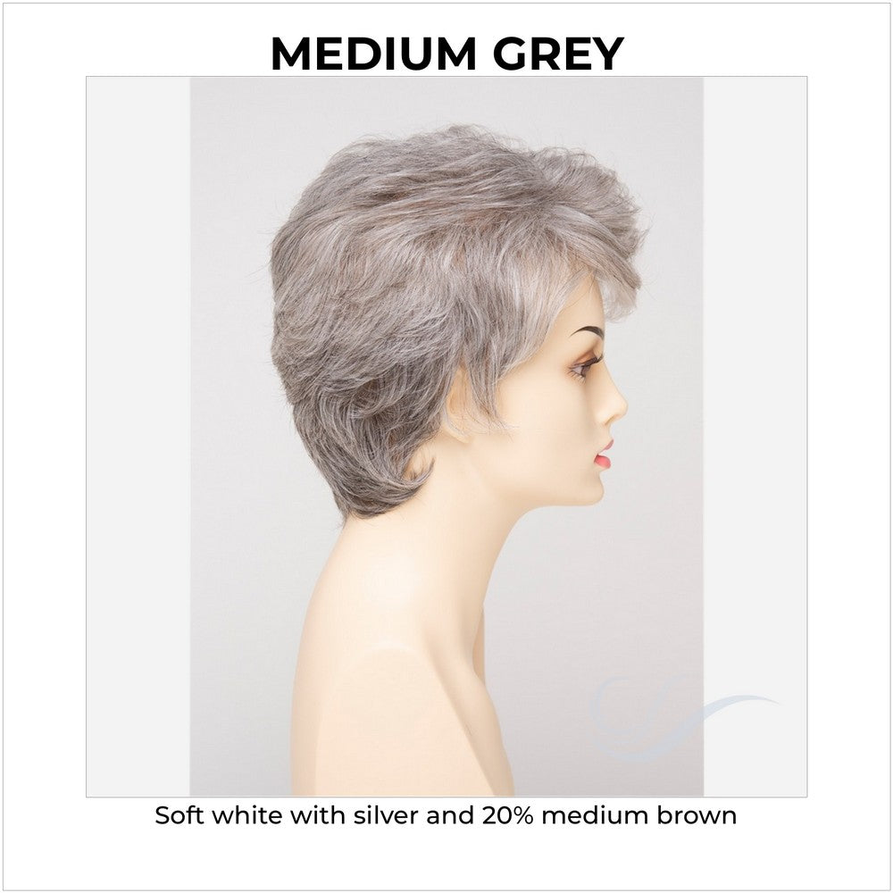 Heather By Envy in Medium Grey-Soft white with silver and 20% medium brown