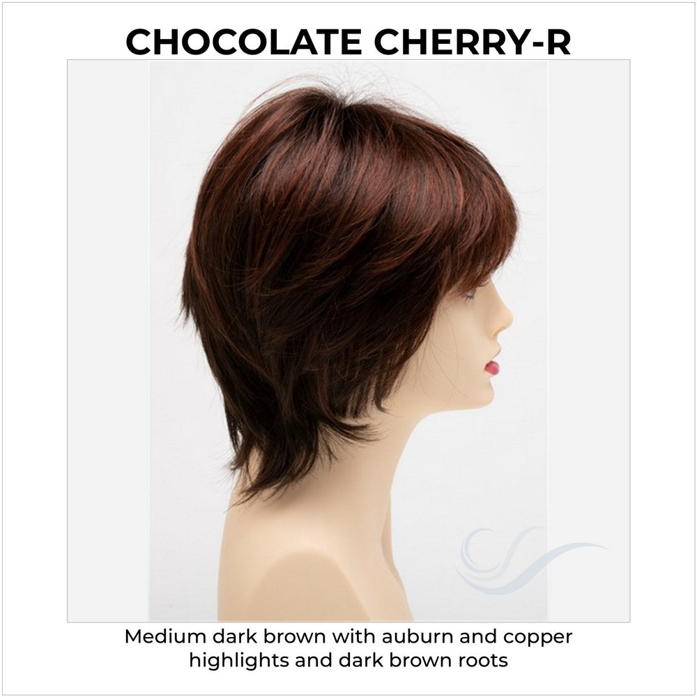 Jane by Envy in Chocolate Cherry-R-Medium dark brown with auburn and copper highlights and dark brown roots