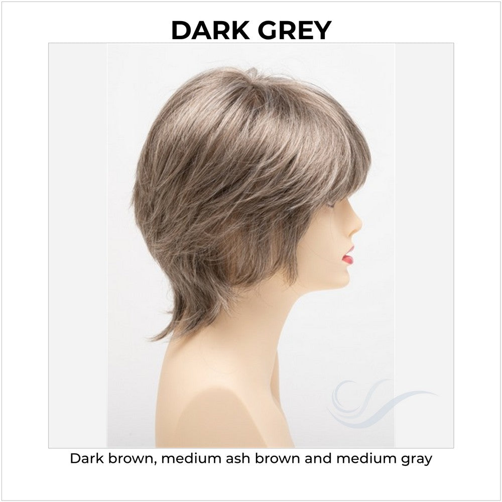 Jane by Envy in Dark Grey-Dark brown, medium ash brown and medium gray
