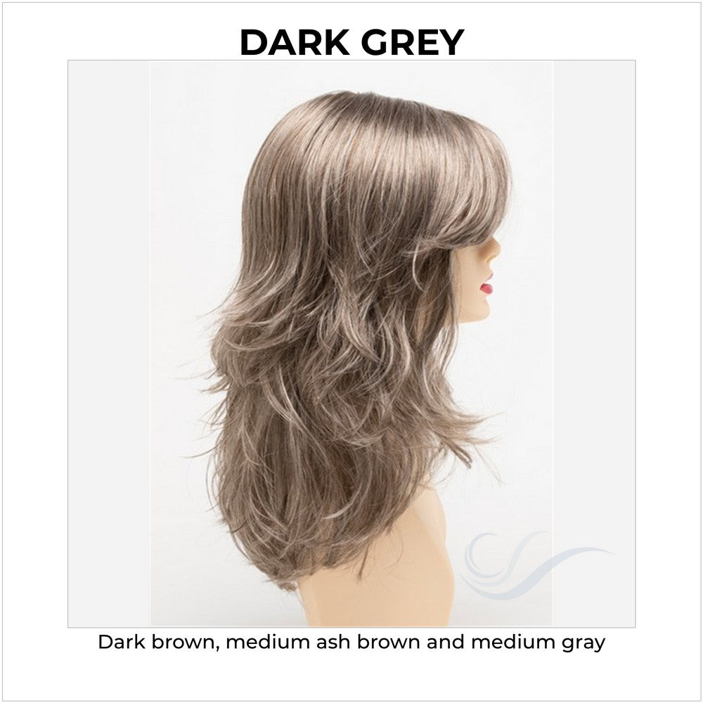 Joy by Envy in Dark Grey-Dark brown, medium ash brown and medium gray