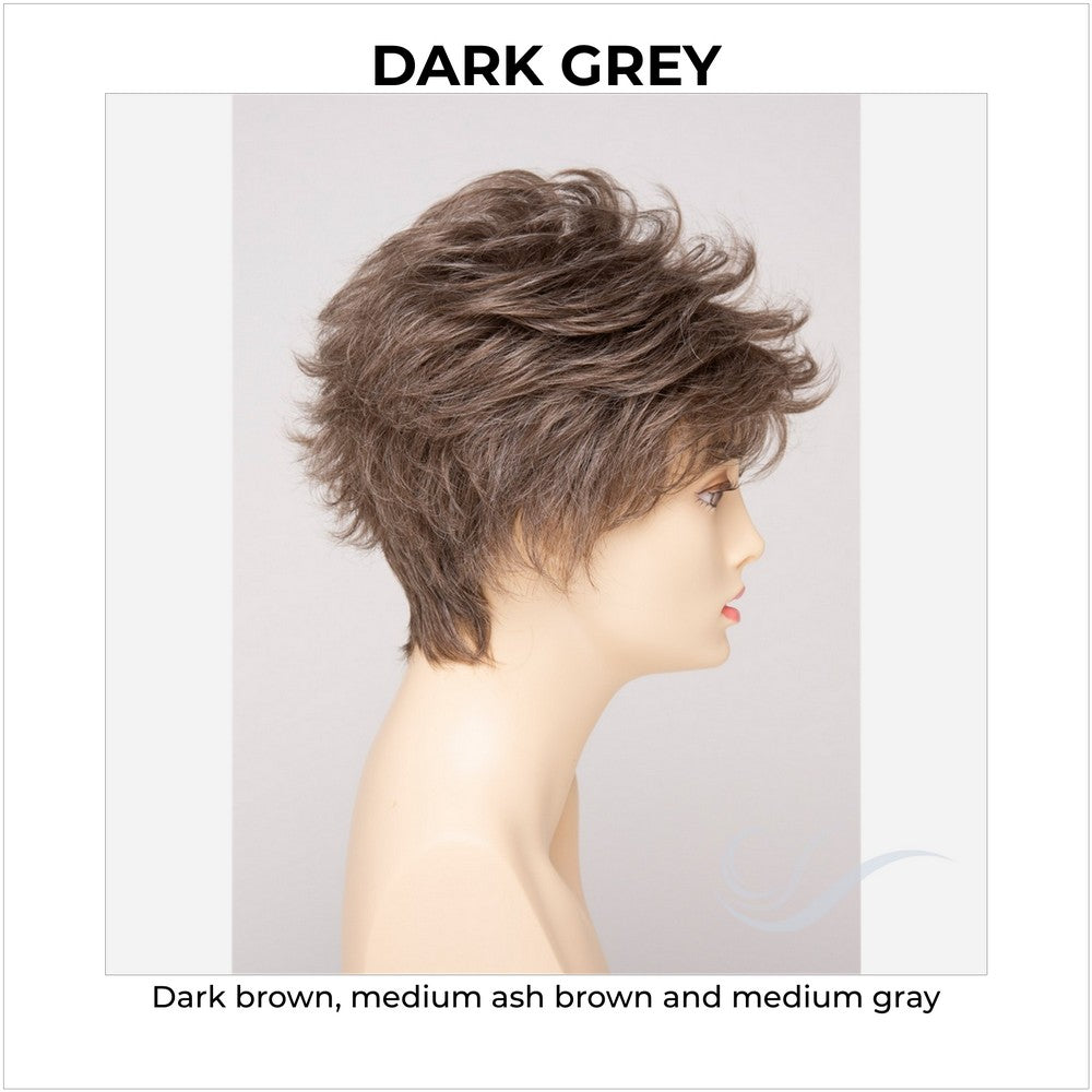 Olivia By Envy in Dark Grey-Dark brown, medium ash brown and medium gray