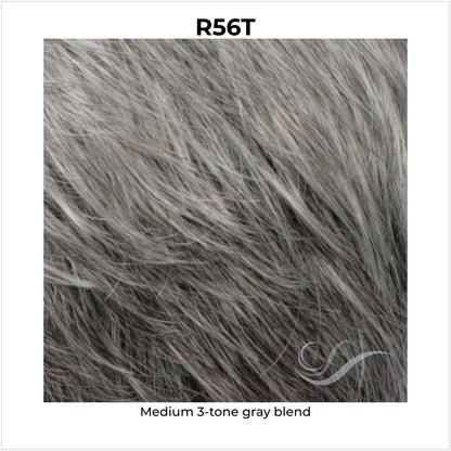 R56T-Medium 3-tone gray blend