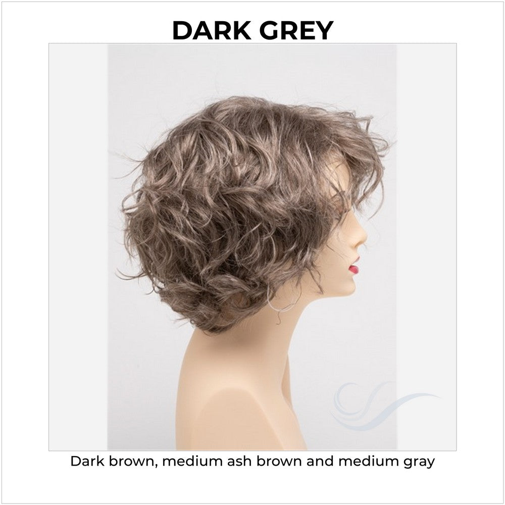Suzi by Envy in Dark Grey-Dark brown, medium ash brown and medium gray