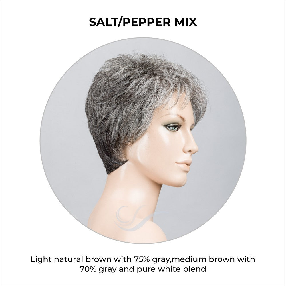 Time Comfort by Ellen Wille in Salt/Pepper Mix-Light natural brown with 75% gray,medium brown with 70% gray and pure white blend