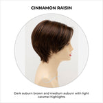 Load image into Gallery viewer, Billie wig by Envy in Cinnamon Raisin-Dark auburn brown and medium auburn with light caramel highlights
