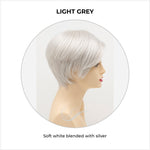 Load image into Gallery viewer, Billie wig by Envy in Light Grey-Soft white blended with silver
