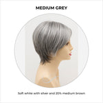 Load image into Gallery viewer, Billie wig by Envy in Medium Grey-Soft white with silver and 20% medium brown
