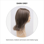 Load image into Gallery viewer, Lisa wig by Envy in Dark Grey-Dark brown, medium ash brown and medium gray
