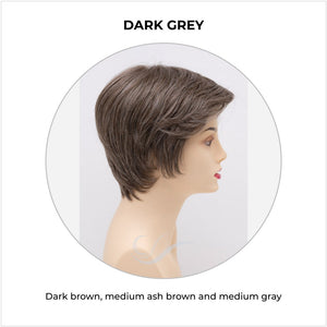 Paula wig by Envy in Dark Grey-Dark brown, medium ash brown and medium gray