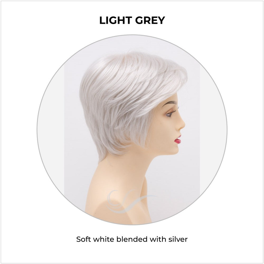 Paula wig by Envy in Light Grey-Soft white blended with silver
