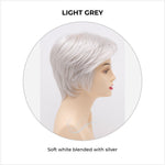 Load image into Gallery viewer, Paula wig by Envy in Light Grey-Soft white blended with silver
