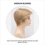 Load image into Gallery viewer, Paula wig by Envy in Medium Blonde-Warm blend of medium golden blonde and pale golden blonde
