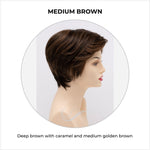 Load image into Gallery viewer, Paula wig by Envy in Medium Brown-Deep brown with caramel and medium golden brown
