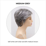 Load image into Gallery viewer, Paula wig by Envy in Medium Grey-Soft white with silver and 20% medium brown
