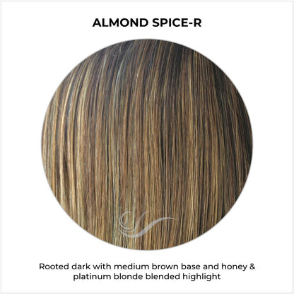 Almond Spice-R-Rooted dark with medium brown base and honey & platinum blonde blended highlight