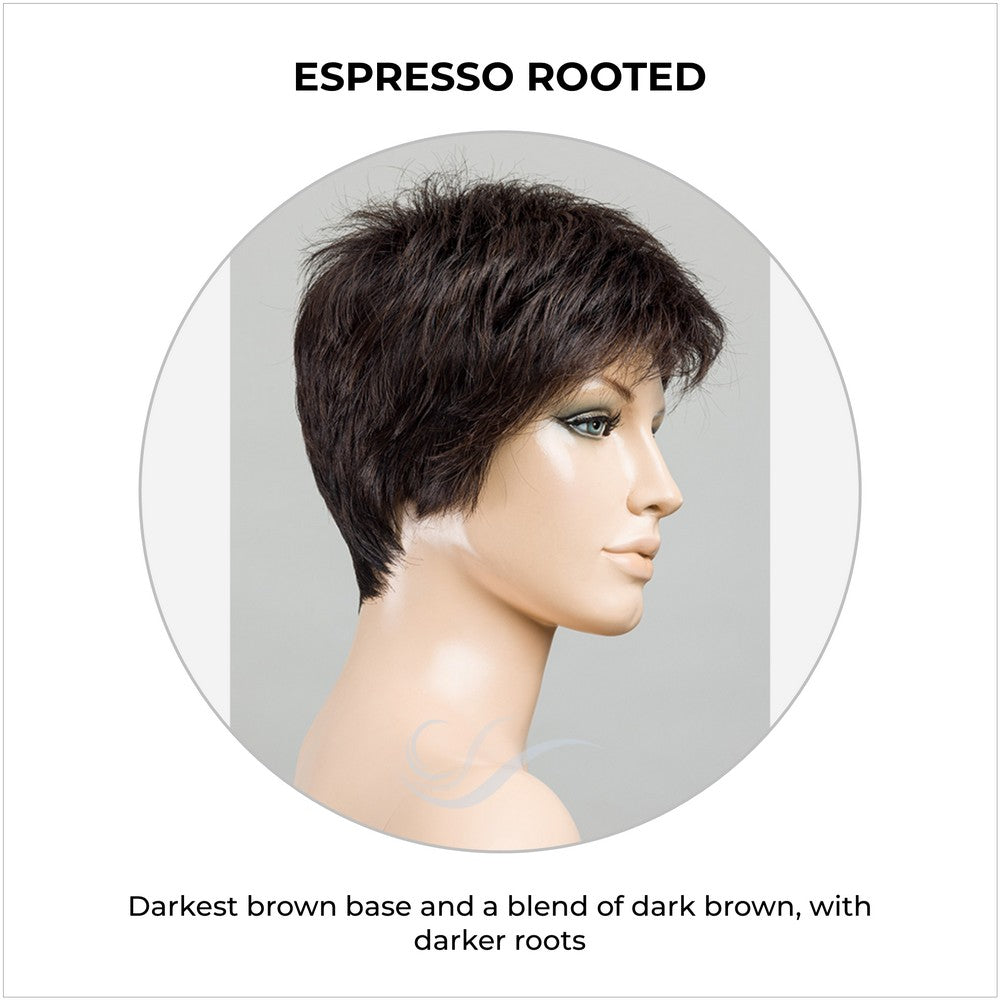 Chat by Ellen Wille in Espresso Rooted-Darkest brown base and a blend of dark brown, with darker roots