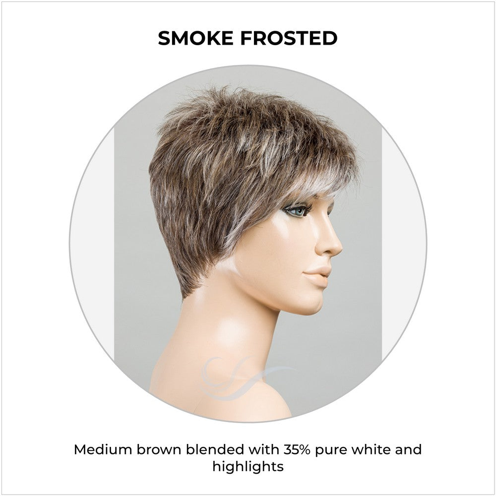 Chat by Ellen Wille in Smoke Frosted-Medium brown blended with 35% pure white and highlights