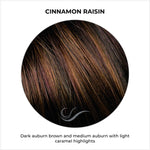 Load image into Gallery viewer, Cinnamon Raisin-Dark brown and medium auburn with light caramel highlights
