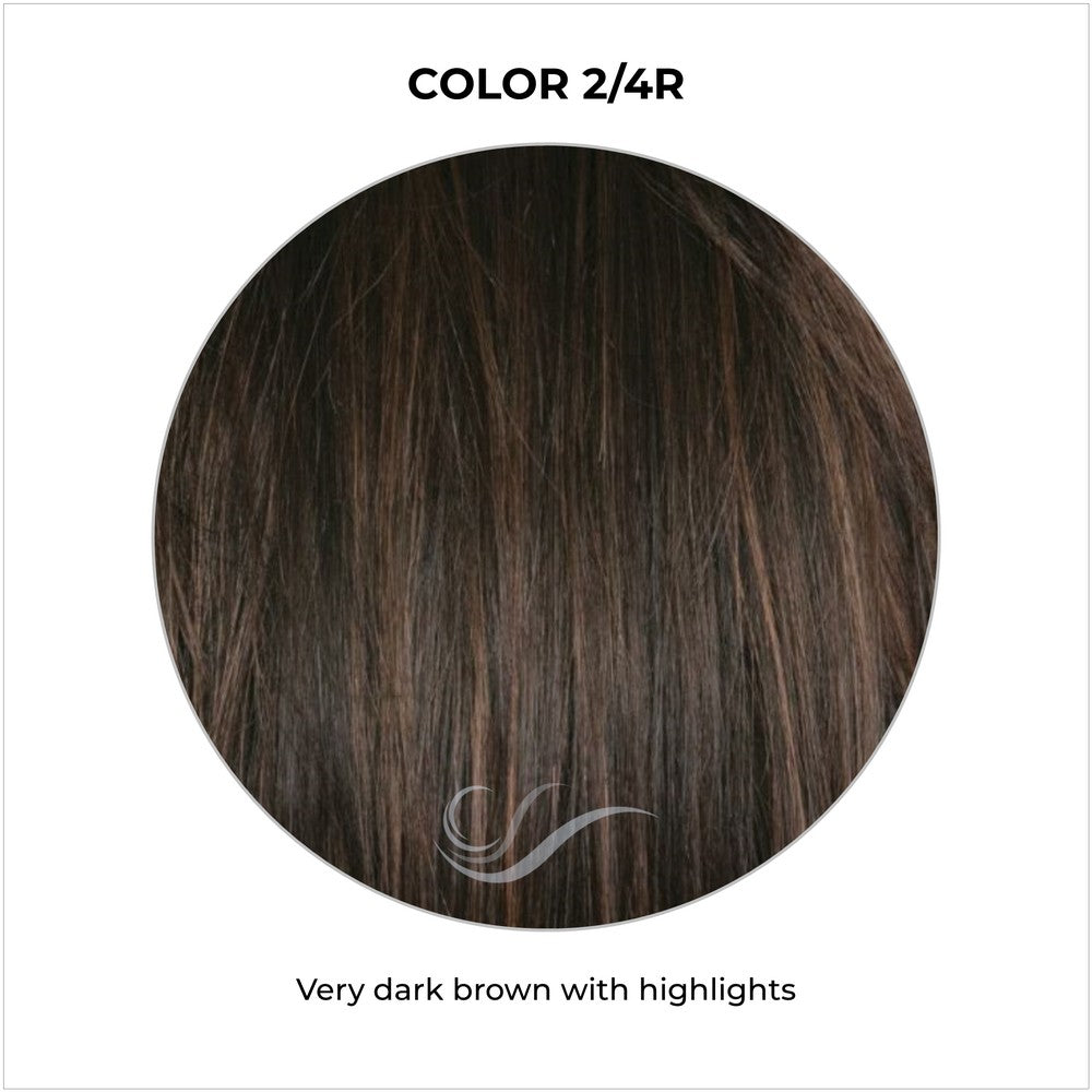 2/4R-Very dark brown with highlights