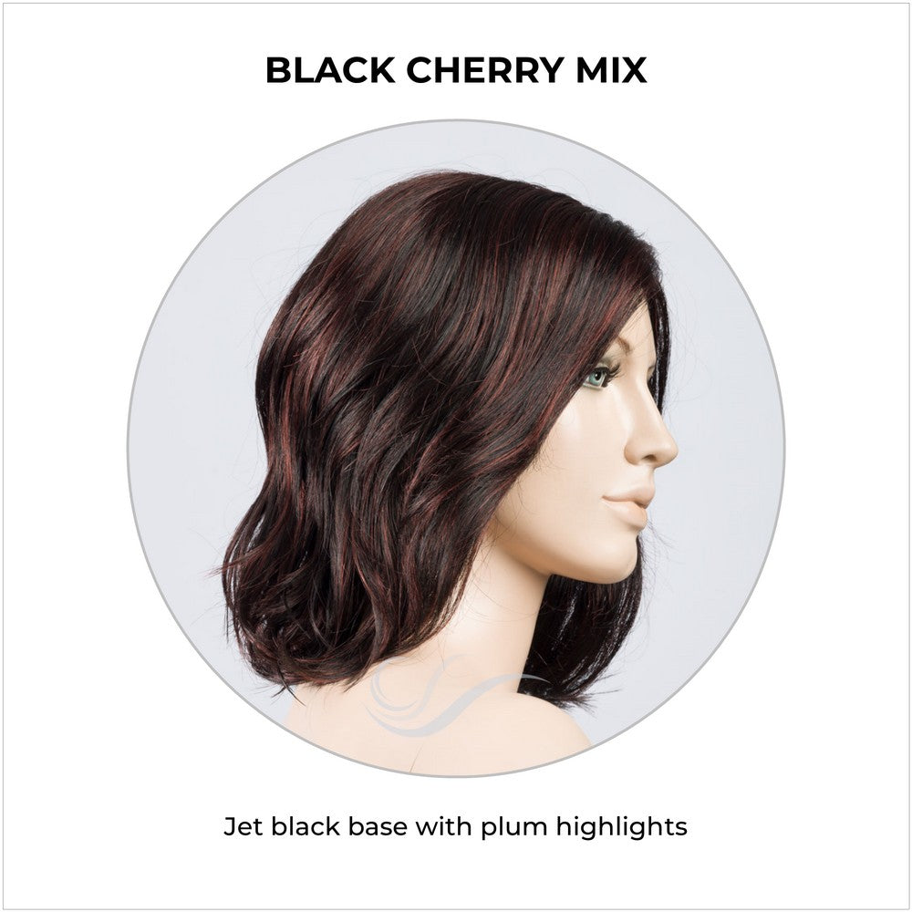 Destiny wig by Ellen Wille in Blackberry Mix-Jet black base with plum highlights