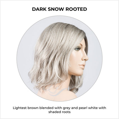 Destiny wig by Ellen Wille in Darksnow Rooted-Lightest brown blended with grey and pearl white with shaded roots