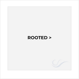 Divider for Rooted Colors