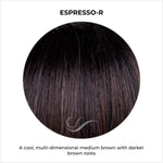 Load image into Gallery viewer, Espresso-R-A cool, multi-dimensional medium brown with darker brown roots
