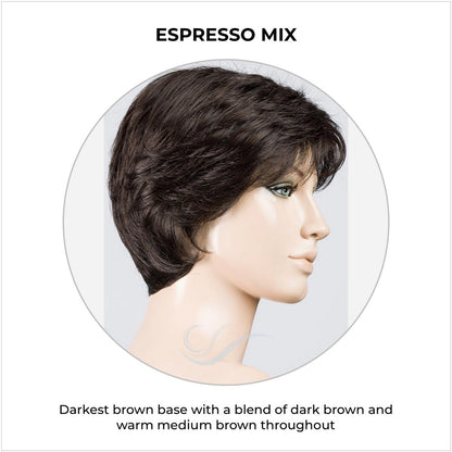 Estate by Ellen Wille in Espresso Mix-Darkest brown base with a blend of dark brown and warm medium brown throughout 