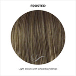 Load image into Gallery viewer, Frosted-Light brown with wheat blonde tips
