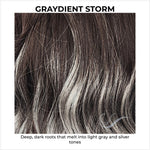 Load image into Gallery viewer, GRAYDIENT STORM-Deep, dark roots that melt into light gray and silver tones
