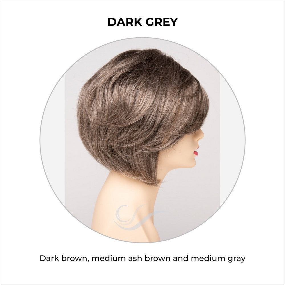 Juliet wig by Envy in Dark Grey-Dark brown, medium ash brown and medium gray