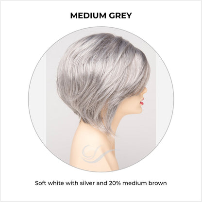 Juliet wig by Envy in Medium Grey-Soft white with silver and 20% medium brown